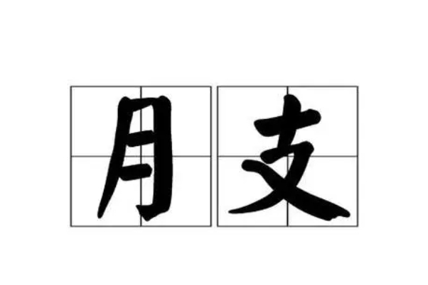 周公解梦梦见猫好不好