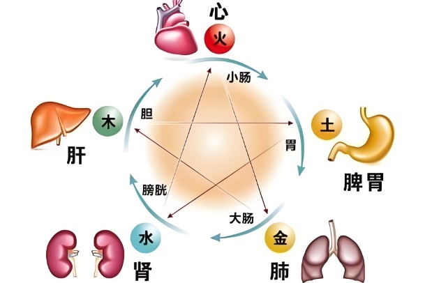 梦到鱼预示着什么_梦境寓意