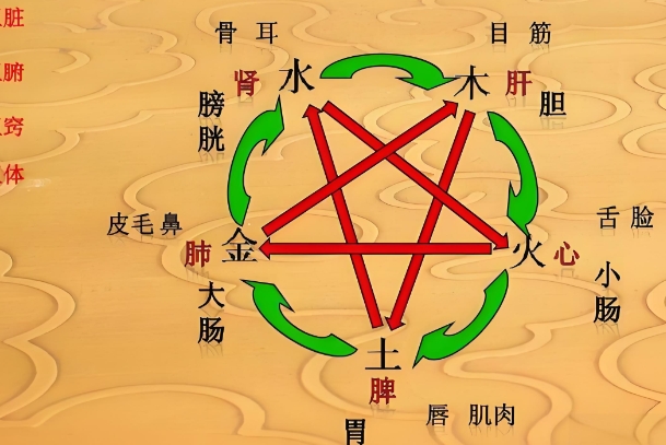 整体健康