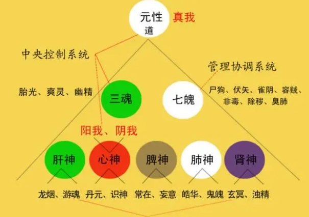 梦见和朋友吵架打架是什么意思啊_朋友争执梦解