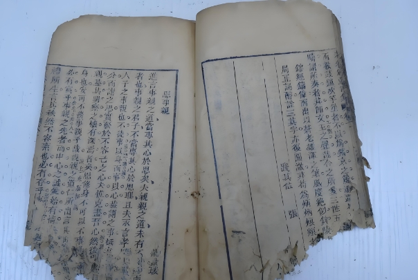 梦见老虎吃人是什么意思_虎噬梦境解