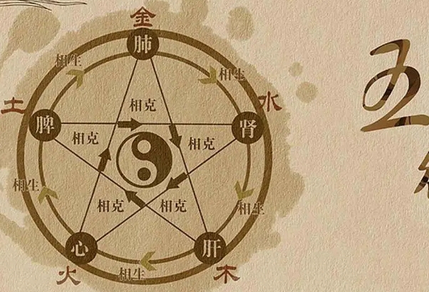梦见很多老鼠是什么征兆
