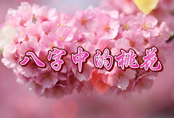 周公解梦梦见怀孕生孩子图片
