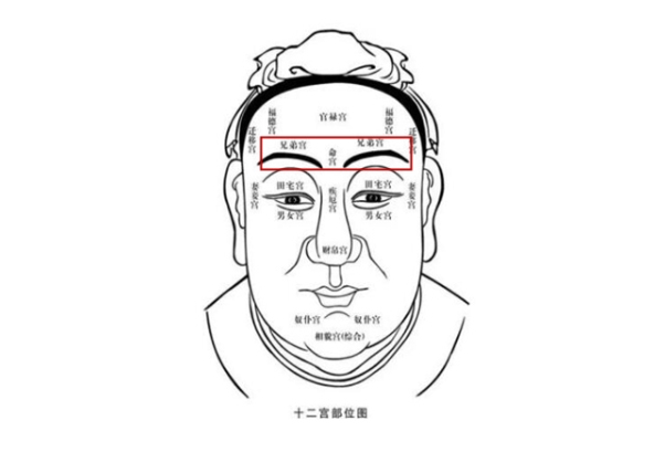 梦见别人钓鱼周公解梦_钓获吉兆图片