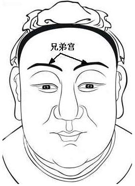 梦见黑熊_黑熊之梦释义