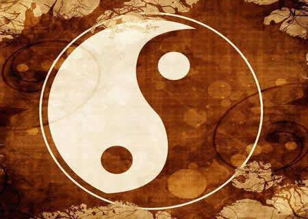 六爻占卜龟壳摇卦