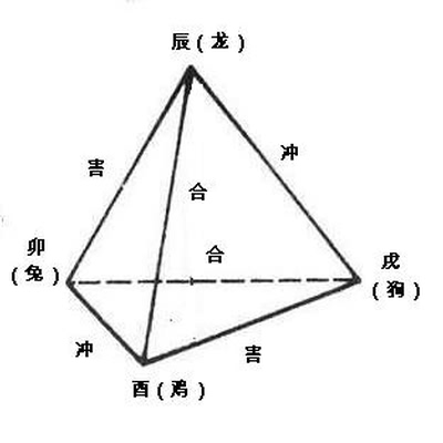 梦见被猫抓是什么预兆