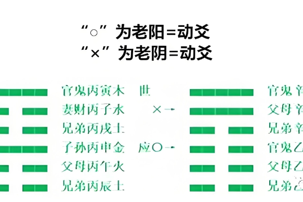 做梦梦见蛇缠身是什么意思图片