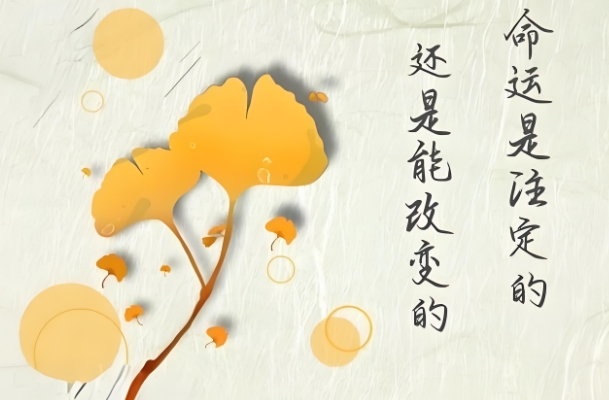 梦见老鼠咬住手不松口