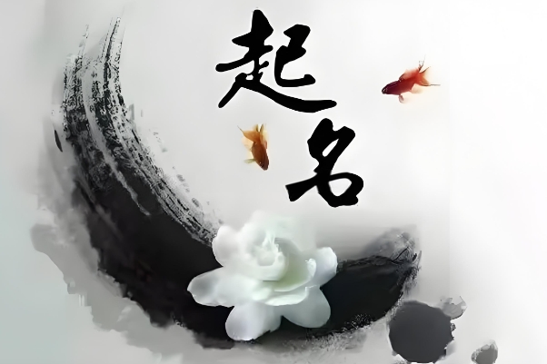 24年龙和25蛇哪个好_龙与蛇谁更旺