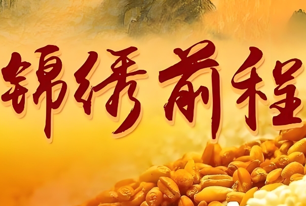 梦到棺材买彩票一定中