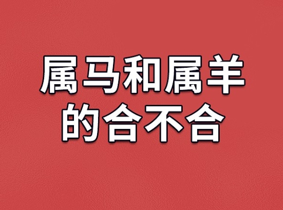 男人梦见猫抓自己_梦见被猫抓的寓意