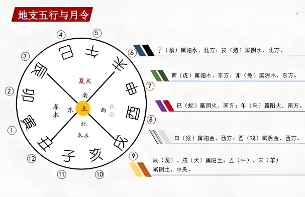 女人梦见好多蜘蛛网_蛛网缠心解梦